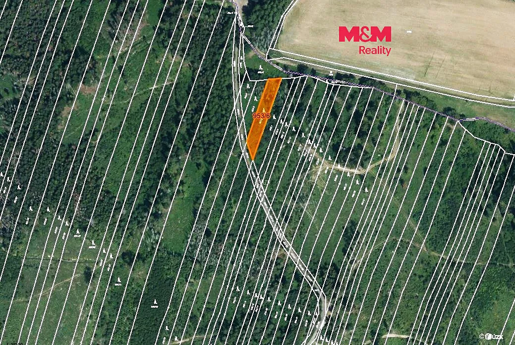 Prodej lesa 6647 m²